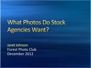 What Photos Do Stock Agencies Want?