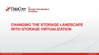 CHANGING THE STORAGE LANDSCAPE WITH STORAGE VIRTUALIZATION