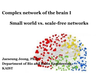 Complex network of the brain I Small world vs. scale-free networks