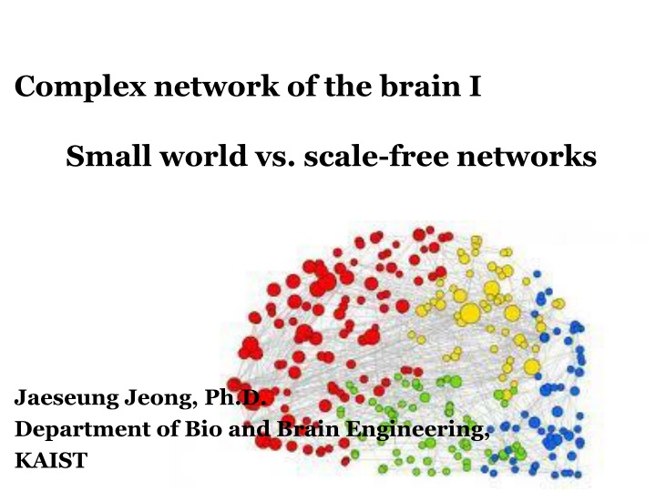 complex network of the brain i small world vs scale free networks