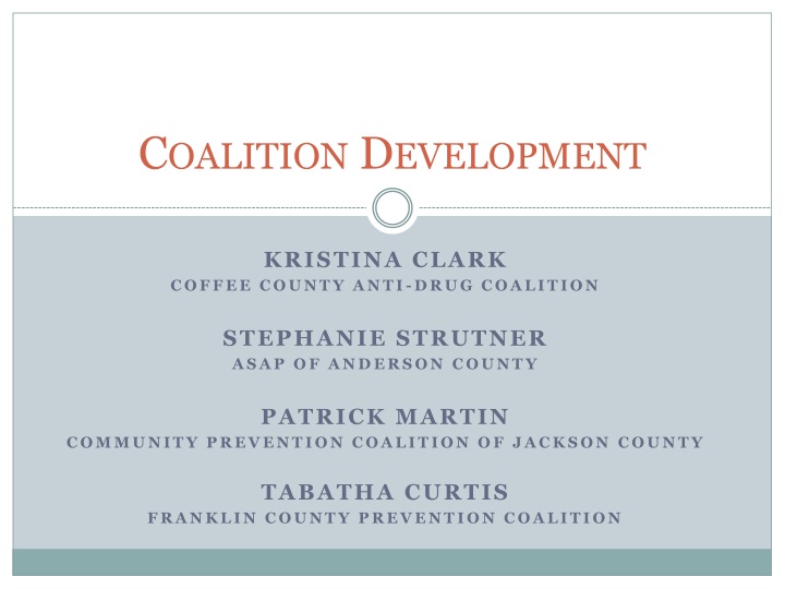 coalition development