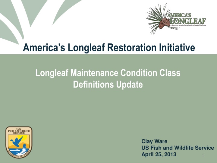 america s longleaf restoration initiative