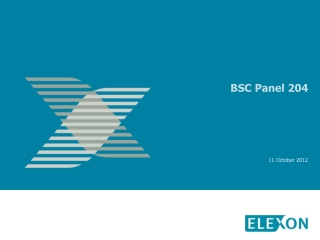 BSC Panel 204