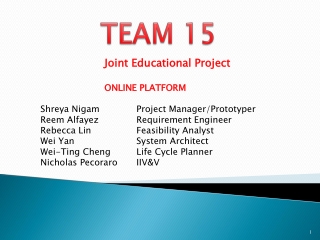 Joint Educational Project 	ONLINE PLATFORM Shreya Nigam		Project Manager/Prototyper