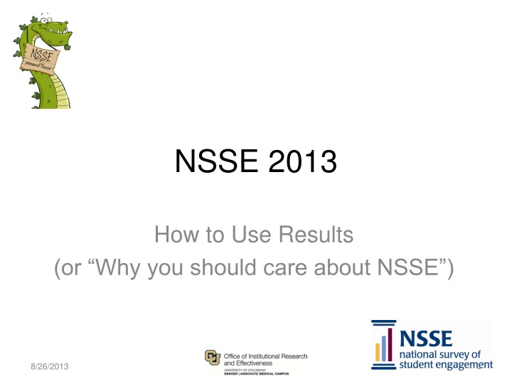 nsse 2013