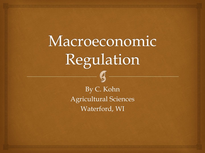 macroeconomic regulation