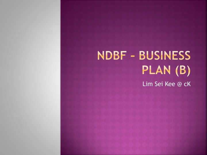ndbf business plan b