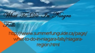 What To Do In Niagrafalls