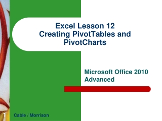 Excel Lesson 12 Creating PivotTables and PivotCharts
