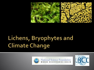 Lichens, Bryophytes and Climate Change