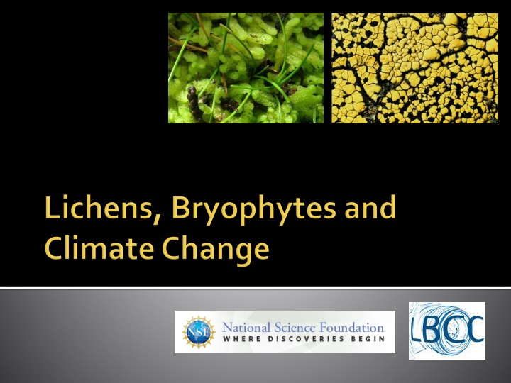 lichens bryophytes and climate change