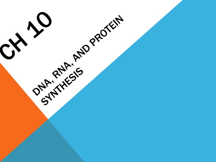 ch 10 dna rna and protein synthesis