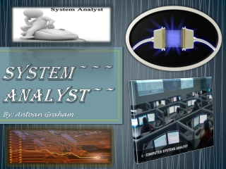 System~~~Analyst~~