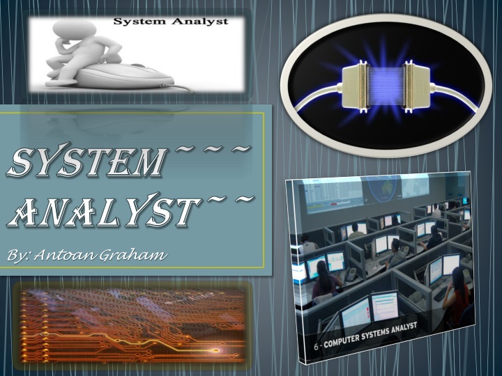 system analyst
