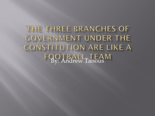 The three branches of government under the constitution are like a football team