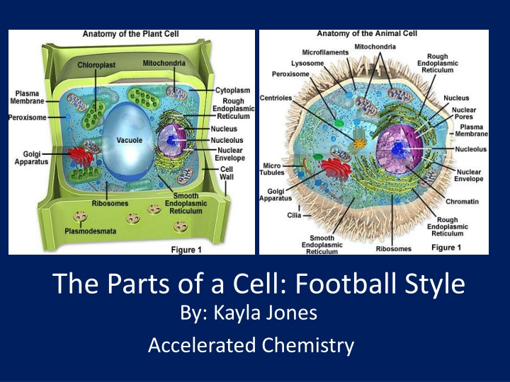 the parts of a cell football style