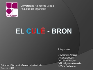 universidad a lonso de ojeda facultad de ingenier