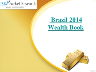 JSB Market Research : Brazil 2014 Wealth Book