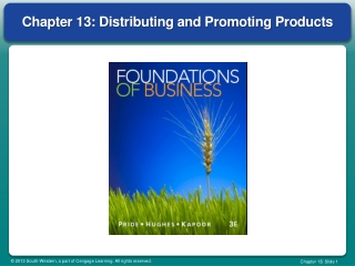 Chapter 13: Distributing and Promoting Products