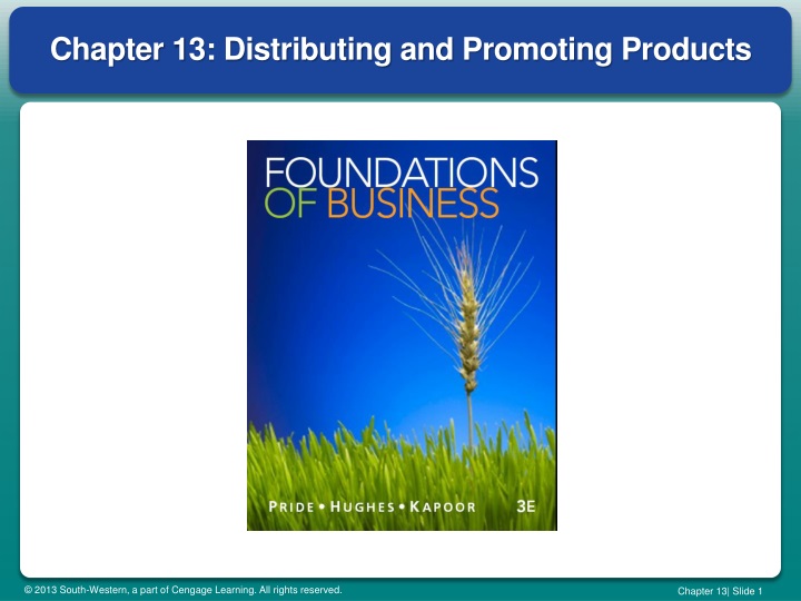 chapter 13 distributing and promoting products