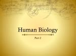 PPT - Human Biology Chapter 20 Support and Movement PowerPoint ...