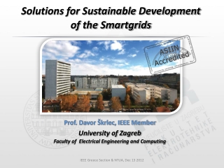 Solutions for Sustainable Development of the Smartgrids