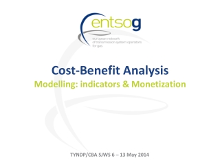 Cost-Benefit Analysis Modelling: indicators &amp; Monetization