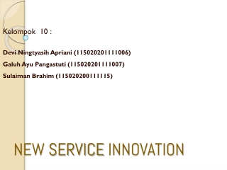 NEW SERVICE INNOVATION