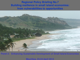 Regional Policy Briefing No.7 Building resilience in small island economies: