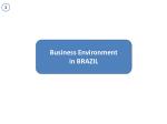 Business Environment i n BRAZIL