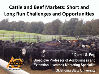 Cattle and Beef Markets: Short and Long Run Challenges and Opportunities