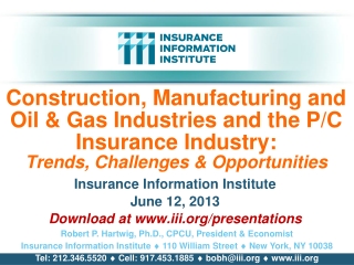 Insurance Information Institute June 12, 2013 Download at iii/presentations