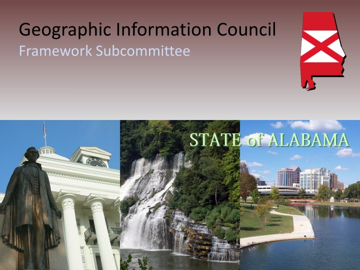 geographic information council