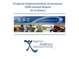 Program Implementation Assessment 2008 Annual Report At-A-Glance