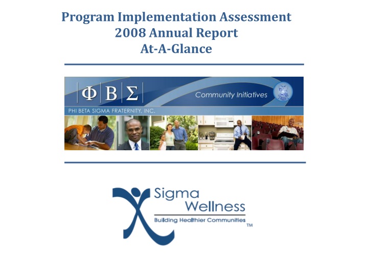 program implementation assessment 2008 annual