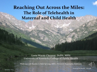 Reaching Out Across the Miles: The Role of Telehealth in Maternal and Child Health