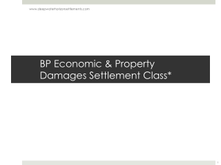 BP Economic &amp; Property Damages Settlement Class*