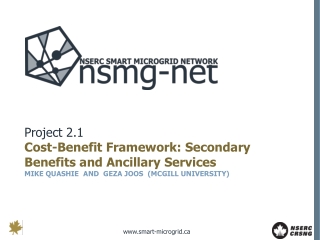 Project 2.1 Cost-Benefit Framework: Secondary Benefits and Ancillary Services
