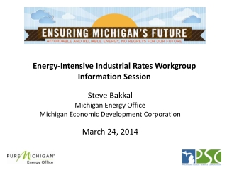 Energy-Intensive Industrial Rates Workgroup Information Session