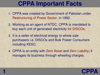 CPPA was created by Government of Pakistan under Restructuring of Power Sector, in 1992.