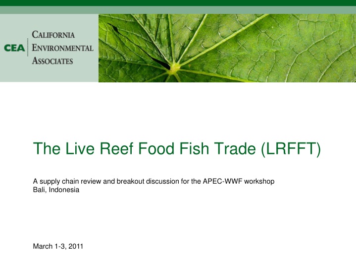 the live reef food fish trade lrfft