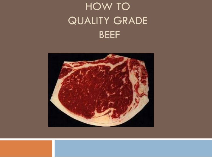 how to quality grade beef