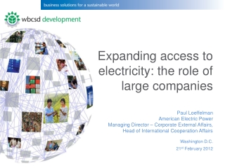 Expanding access to electricity: the role of large companies Paul Loeffelman