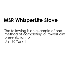 MSR WhisperLite Stove