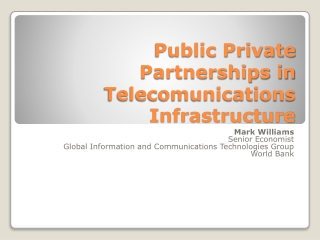 Public Private Partnerships in Telecomunications Infrastructure
