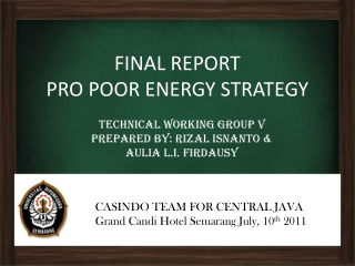 FINAL REPORT PRO POOR ENERGY STRATEGY