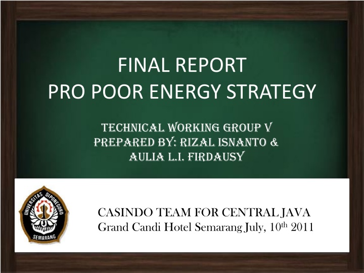 final report pro poor energy strategy