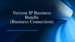 Verizon IP Business Bundle (Business Connection)