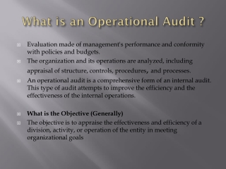 What is an Operational Audit ?