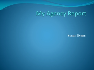 My Agency Report